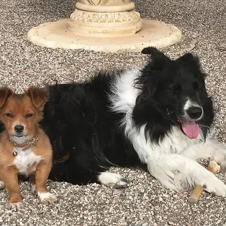 לינה וארוחת בוקר Cortijo El Ciruelo 4*